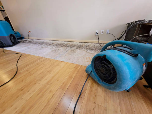 Professional Ceiling Water Damage Repair technician working in Foxboro, MA