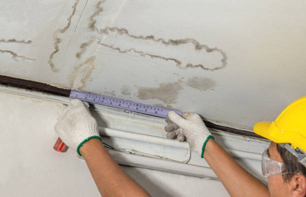 Affordable Ceiling Water Damage Repair solutions in Foxboro, MA